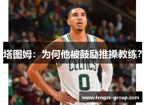 塔图姆：为何他被鼓励推搡教练？