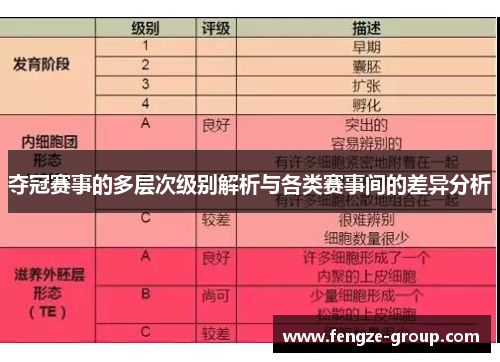 夺冠赛事的多层次级别解析与各类赛事间的差异分析